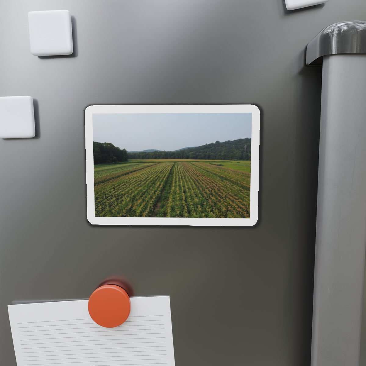 New England Scenic Farmland Magnet