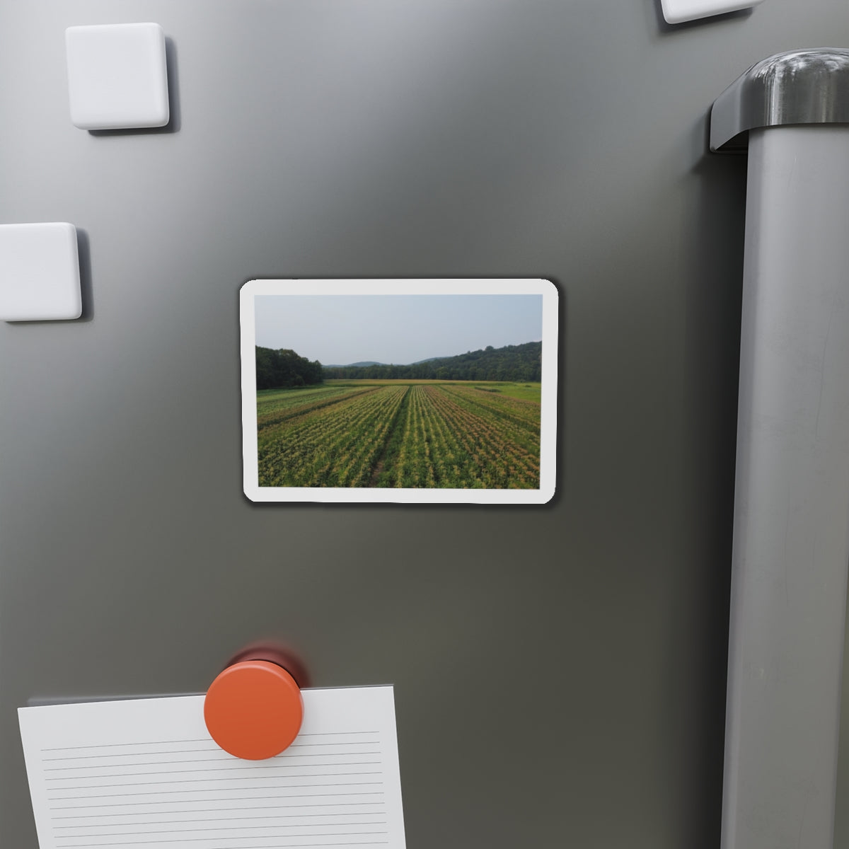 New England Scenic Farmland Magnet