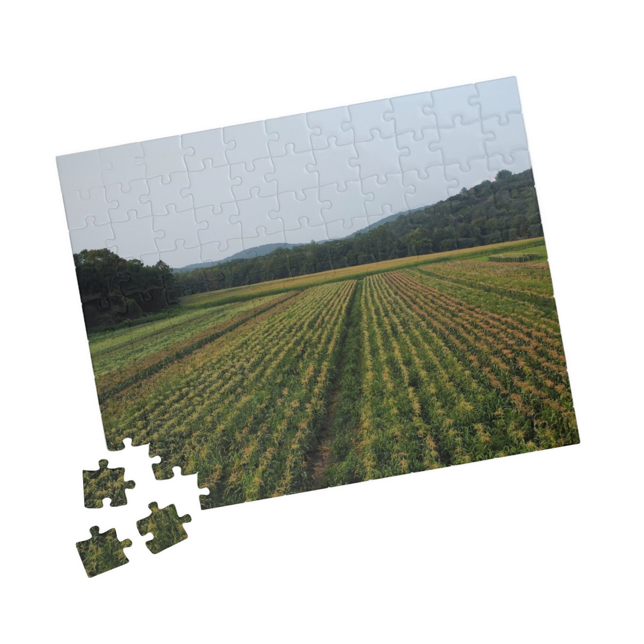 New England Farmland Puzzle (110/520/1014 Piece)