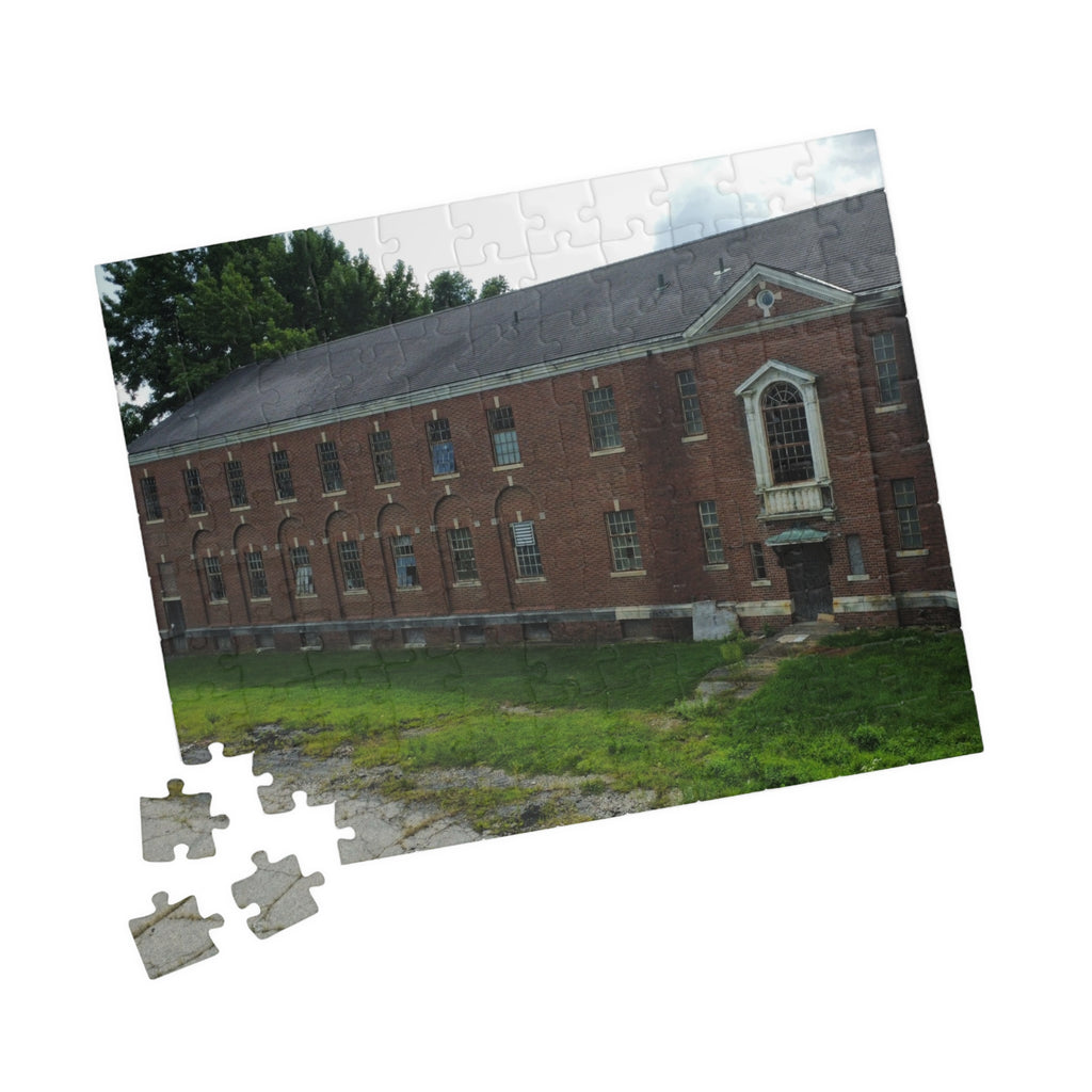 Fairfield Hills Abandoned Building- 110, 520, 1014 Piece Puzzle