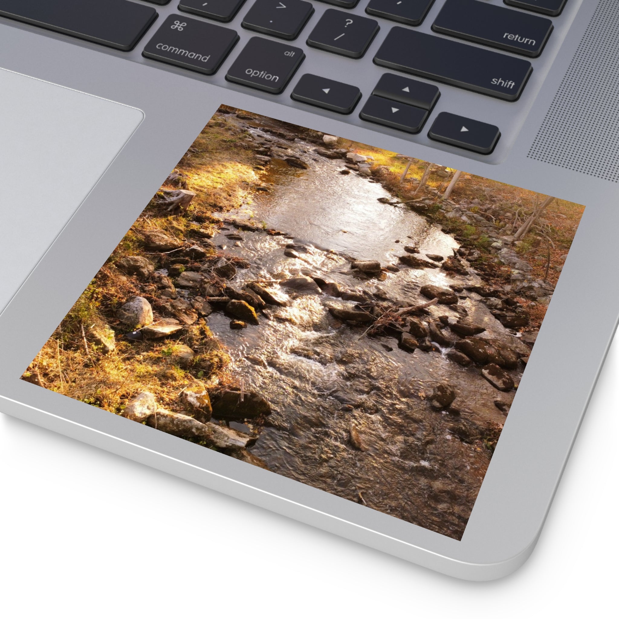 Autumn Stream- Sticker