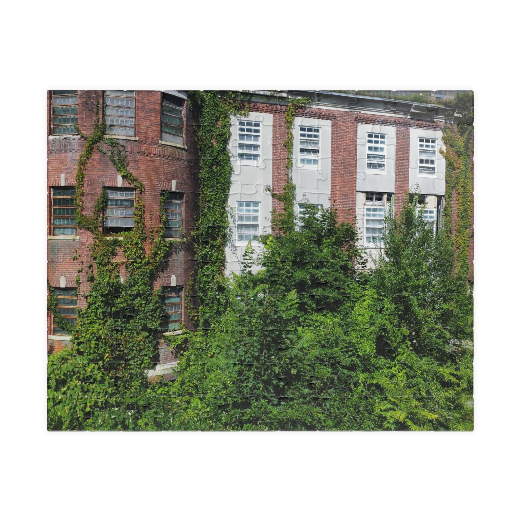 Fairfield Hills Newtown Connecticut - 110, 520, 1014-piece puzzle