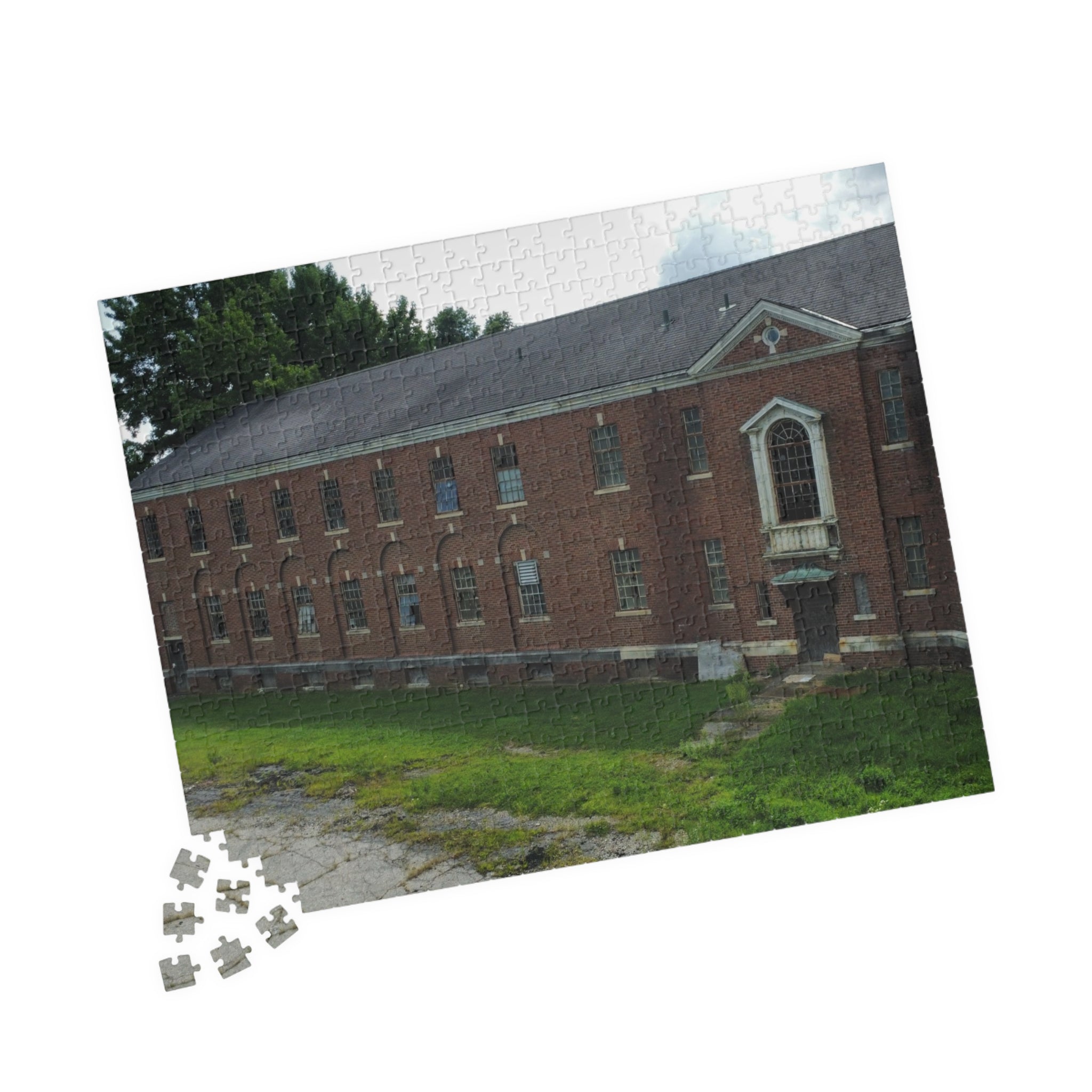 Fairfield Hills Abandoned Building- 110, 520, 1014 Piece Puzzle