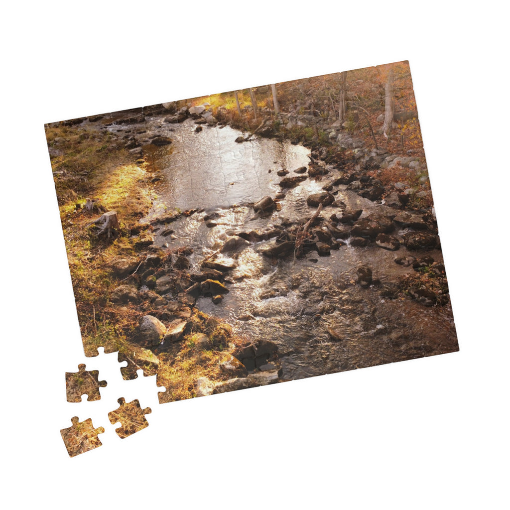 Forest Stream Jigsaw Puzzle — (110/520/1014 pcs)