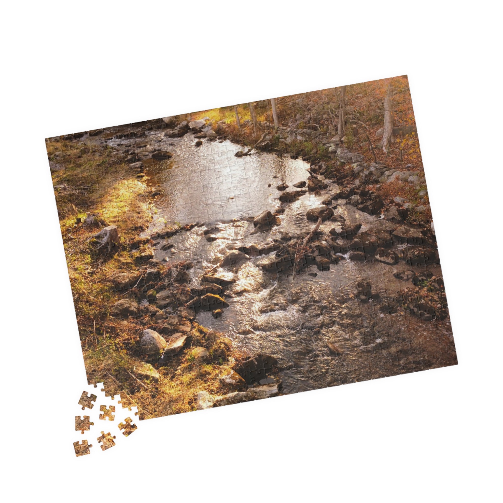 Forest Stream Jigsaw Puzzle — (110/520/1014 pcs)