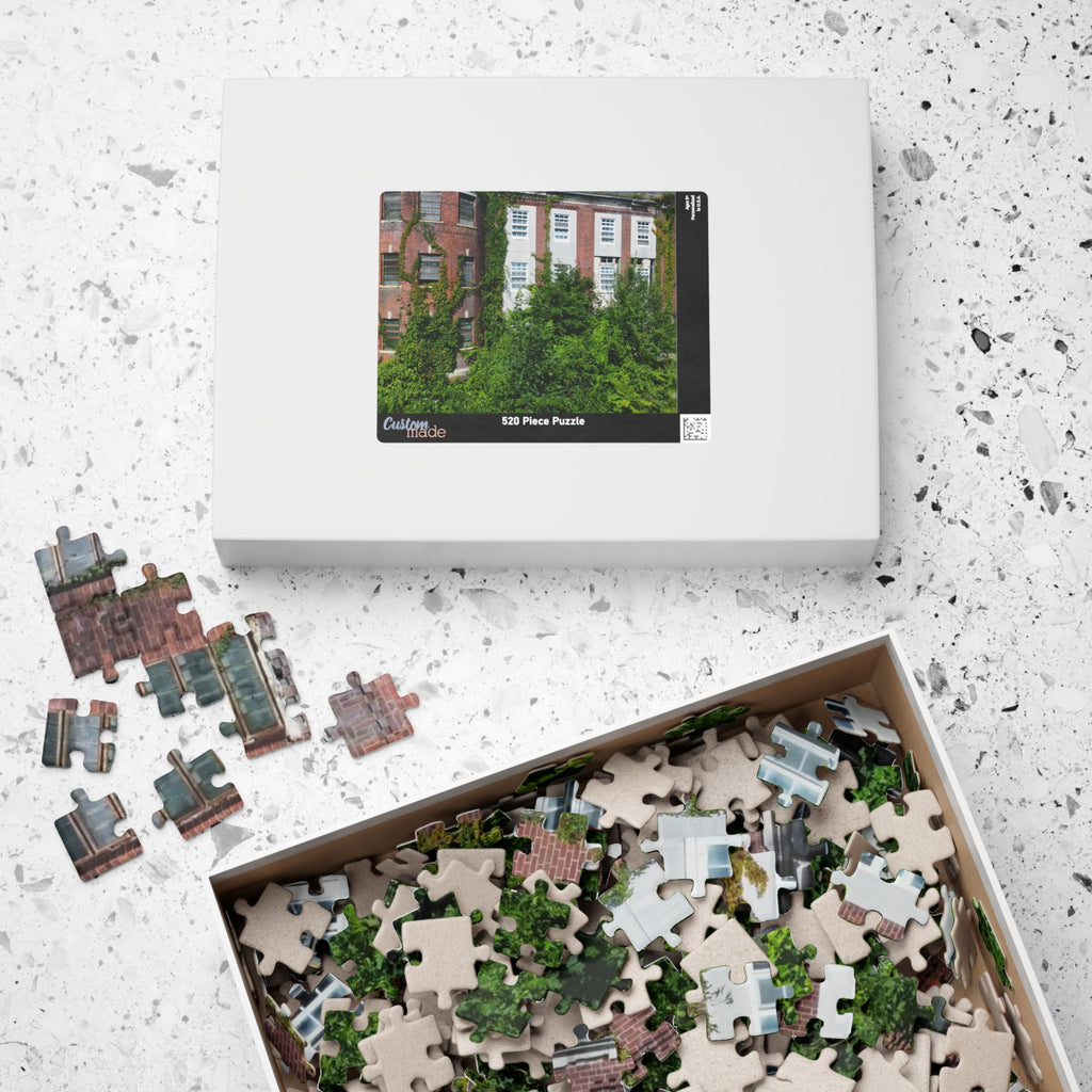 Fairfield Hills Newtown Connecticut - 110, 520, 1014-piece puzzle