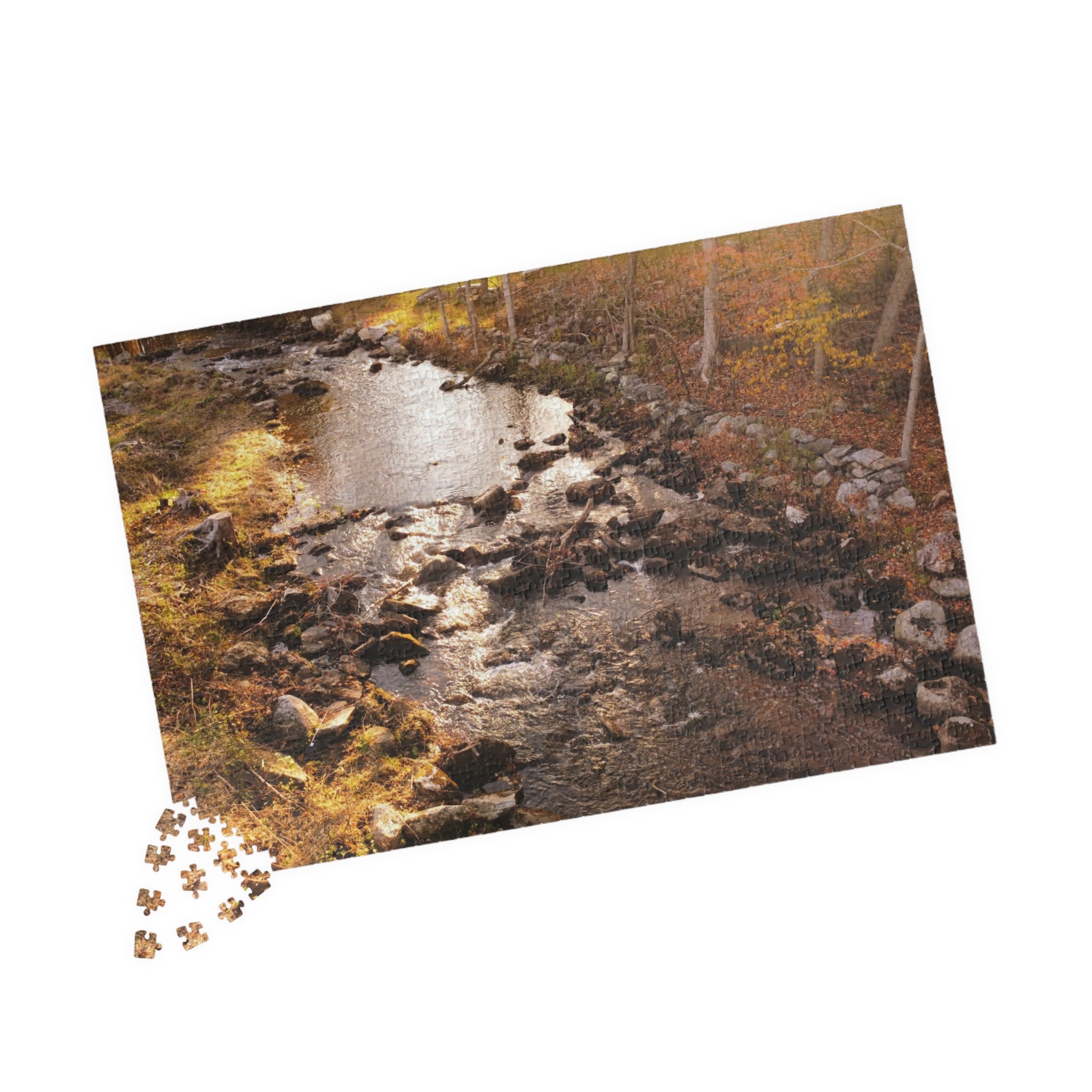 Forest Stream Jigsaw Puzzle — (110/520/1014 pcs)
