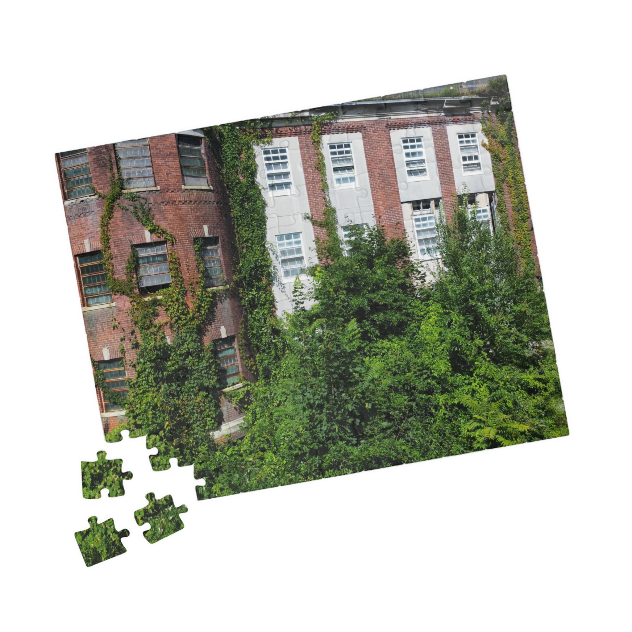 Fairfield Hills Newtown Connecticut - 110, 520, 1014-piece puzzle