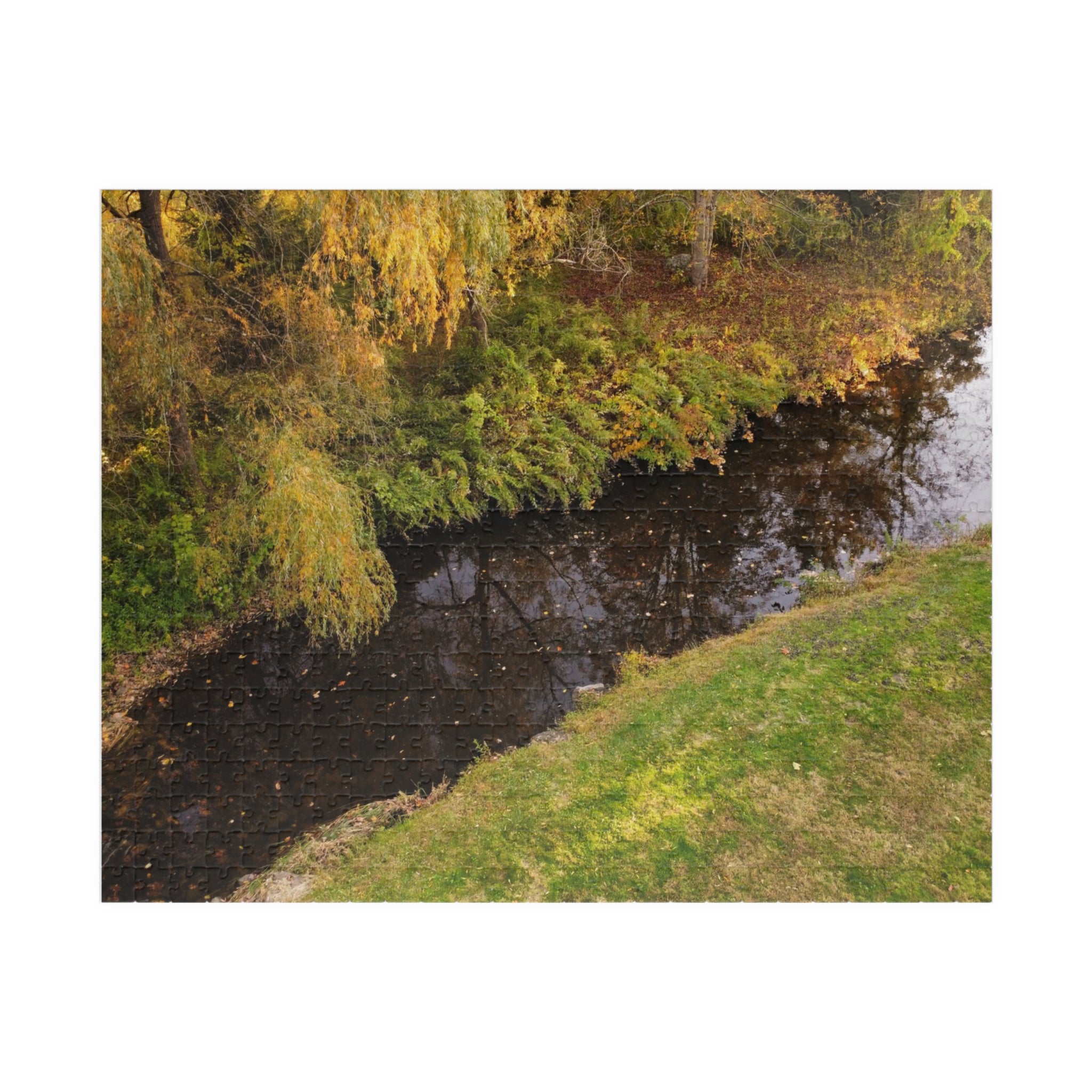 Quiet Woodland Stream Jigsaw Puzzle (110,520, 1014 pcs)