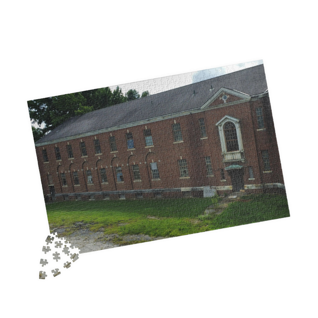Fairfield Hills Abandoned Building- 110, 520, 1014 Piece Puzzle