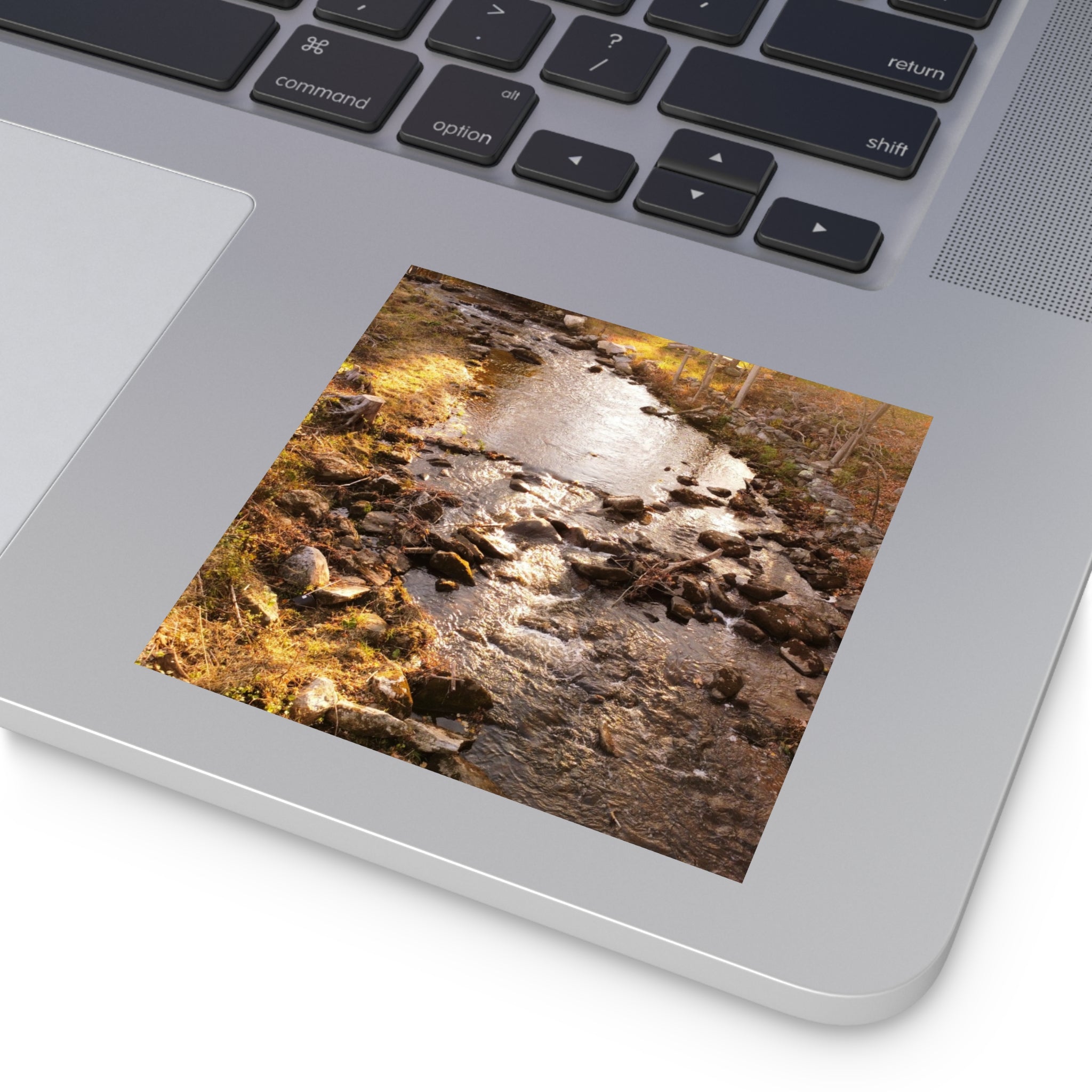 Autumn Stream- Sticker